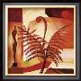 Fiddle Ferns Ii by Alfred Gockel Limited Edition Pricing Art Print