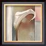 Pink, Grey And White by Tamara Ross Limited Edition Print