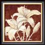 Beautiful by Raimund Roth Limited Edition Pricing Art Print