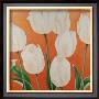 White Tulips by Erik De André Limited Edition Pricing Art Print