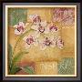 Inspire Orchid by Elizabeth King Brownd Limited Edition Pricing Art Print