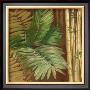 Bamboo & Palms Ii by Pamela Luer Limited Edition Pricing Art Print