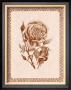 Sepia Rose I by Samuel Kay Limited Edition Pricing Art Print