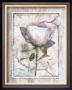 Love Letter Peonies by Alma Lee Limited Edition Print