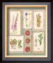 Gardening Pleasures Iv by Gillian Fullard Limited Edition Pricing Art Print