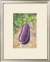 Aubergine by Guenter Tillmann Limited Edition Print