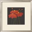 Petite Orange by Jocelyne Anderson-Tapp Limited Edition Print