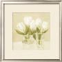 White Flowers In Vases by David Col Limited Edition Pricing Art Print