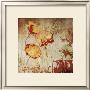 Poppy Heat Ii by Tandi Venter Limited Edition Print