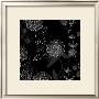 Monochrome Lace Floral by Kate Knight Limited Edition Print