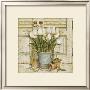 Potted Tulips Ii by Eric Barjot Limited Edition Print