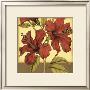 Cropped Sophisticated Hibiscus Ii by Jennifer Goldberger Limited Edition Print