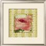 Rose And Romance I by Pela Design Limited Edition Pricing Art Print