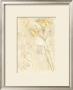 Lily Fresco by Gretchen Shannon Limited Edition Pricing Art Print