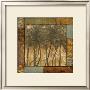 Palm Grove Ii by Julia Hawkins Limited Edition Print