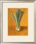 Leeks On Gold by Lanie Loreth Limited Edition Print