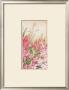 Laurier Rose I by Vincent Jeannerot Limited Edition Print