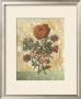 Antiquarian Bouquet Ii by Tiffany Bradshaw Limited Edition Print