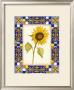 Tuscany Sunflower Ii by Jennifer Goldberger Limited Edition Print