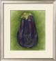 Eggplant by Jennifer Goldberger Limited Edition Pricing Art Print