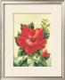 Red Hibiscus by Ted Mundorff Limited Edition Print