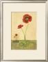 Entwined Poppies by Vanna Lam Limited Edition Print