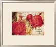 Another Good Year by Joadoor Limited Edition Print