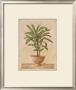 Potted Palm I by Welby Limited Edition Pricing Art Print