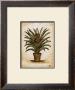 Pineapple Tree by Tina Chaden Limited Edition Print
