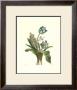 Blue And Buttercream Bouquet I by Pancrace Bessa Limited Edition Print