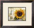 Sunflower Composition by Rian Withaar Limited Edition Print