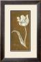 White Tulipa No. 42 by Stela Klein Limited Edition Pricing Art Print