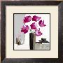 Pivoines Roses Ii by Bernard Ott Limited Edition Print