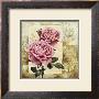 Cottage Rose In Bloom by Richard Henson Limited Edition Pricing Art Print