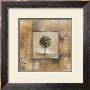 Sunlit Palmetto I by Silvia Vassileva Limited Edition Pricing Art Print