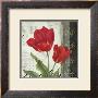 Etude En Rouge Ii by Pamela Gladding Limited Edition Print