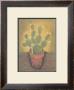 Cactus Plants In Pots by Nigel Cladingboel Limited Edition Pricing Art Print