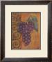 Scrolled Grapes I by Norman Wyatt Jr. Limited Edition Print