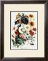 Bouquet Iii by Andrieux Vilmorin Limited Edition Pricing Art Print