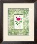 Fragrant Toile I by Kari Phillips Limited Edition Print
