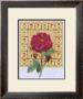 Flower With Border Iii by G.P. Mepas Limited Edition Print