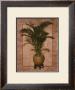 Potted Palm I by T. C. Chiu Limited Edition Pricing Art Print