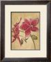 Hawaiiantropics Ii by Elizabeth Jardine Limited Edition Print