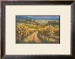 Vineyard Hill I by Sung Kim Limited Edition Pricing Art Print