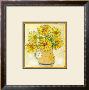 Jarras Con Flores Ii by V. Alber Limited Edition Print