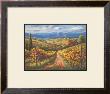 Vineyard Hill Ii by Sung Kim Limited Edition Print