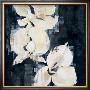 Shadow Orchids Ii by Elizabeth Jardine Limited Edition Pricing Art Print