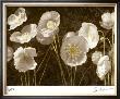 Baroque Poppies by Ives Mccoll Limited Edition Print