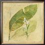 Botanical Study I by Avery Tillmon Limited Edition Pricing Art Print