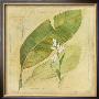 Botanical Study I by Avery Tillmon Limited Edition Print